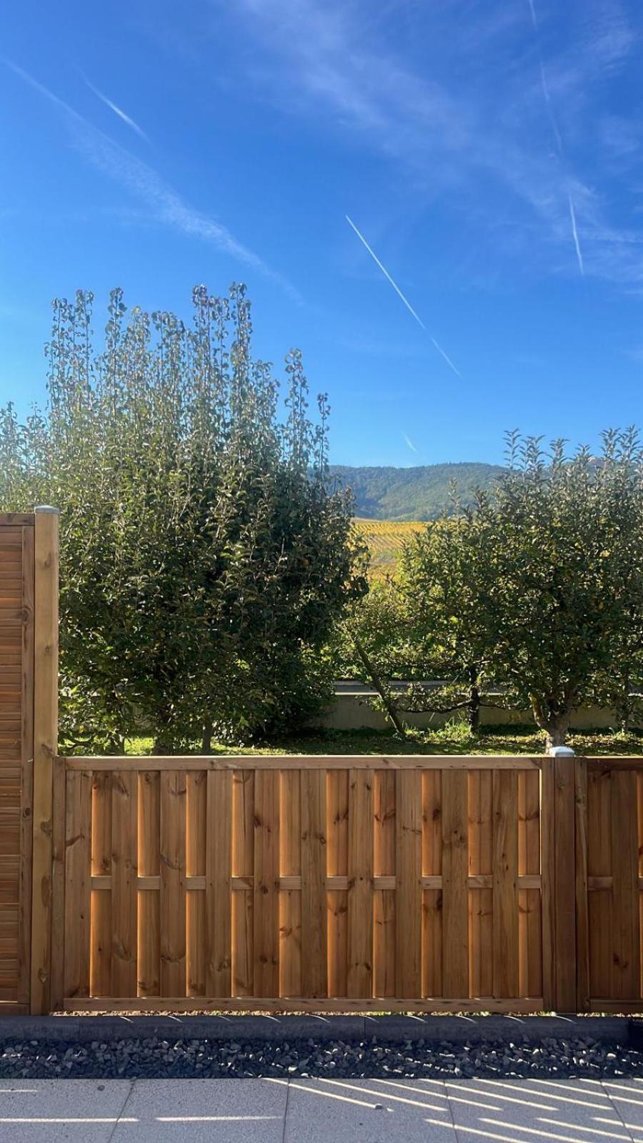 Studio Aux Pieds Des Vignes Eguisheim Luaran gambar